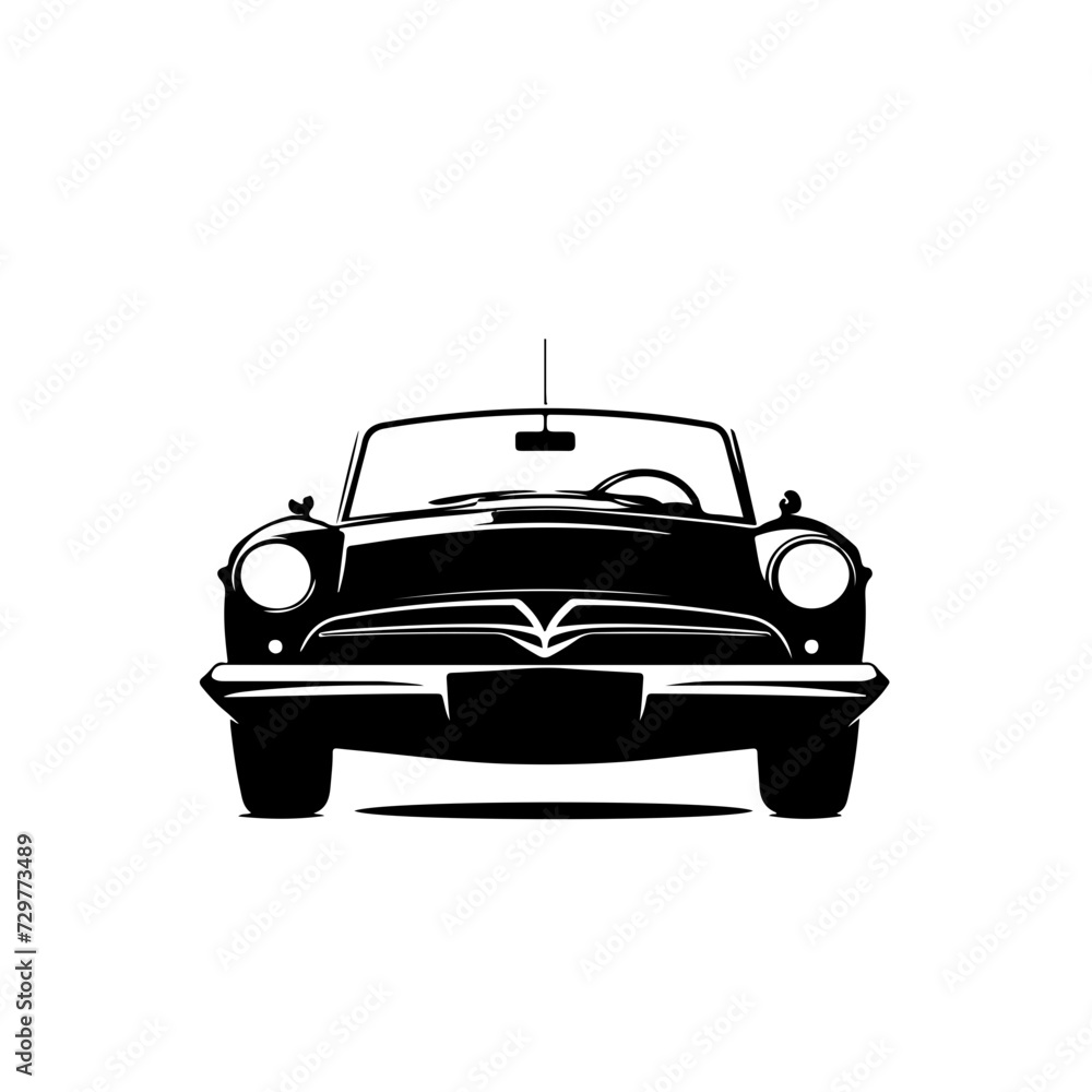 Convertible Logo Monochrome Design Style