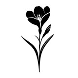 Crocus Flower Single Logo Monochrome Design Style