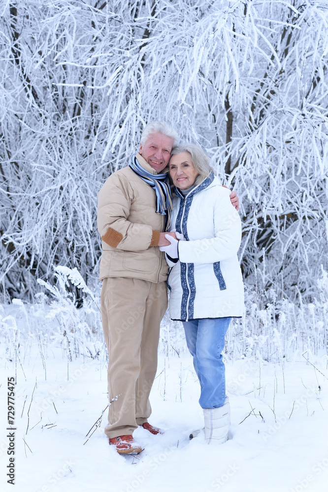 Beautiful senior couple hugging in winter park Beautiful senior couple hugging in winter park