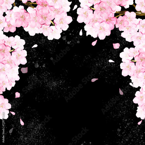 フレーム 背景 お花見 春 さくら サクラ 桜 花 水彩 手描き コピースペース イラスト素材