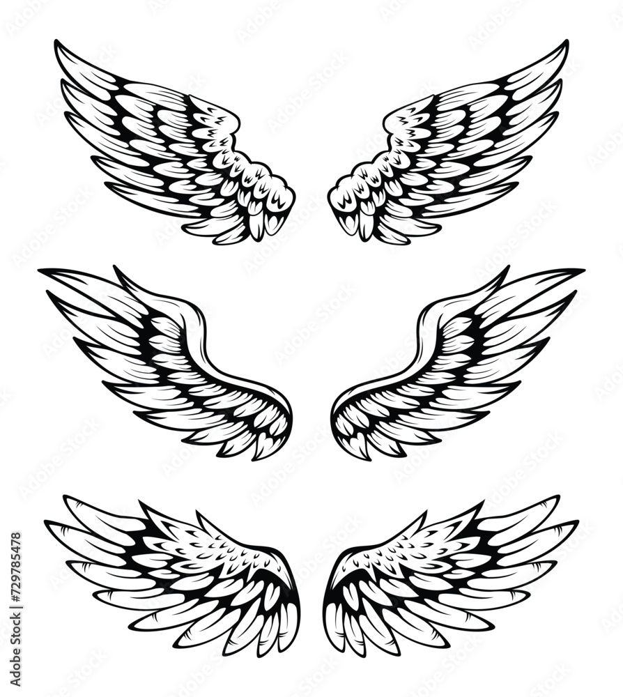 Fototapeta premium Illustration Of Wings Collection Set