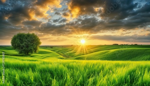 a sunset over a green field  with the sun shining through the clouds and the sun shining through the leaves   wind moving green grass  panoramic view  summer scenery