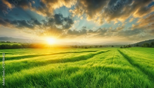 a sunset over a green field with the sun shining through the clouds and the sun shining through the leaves, wind moving green grass, panoramic view, summer scenery