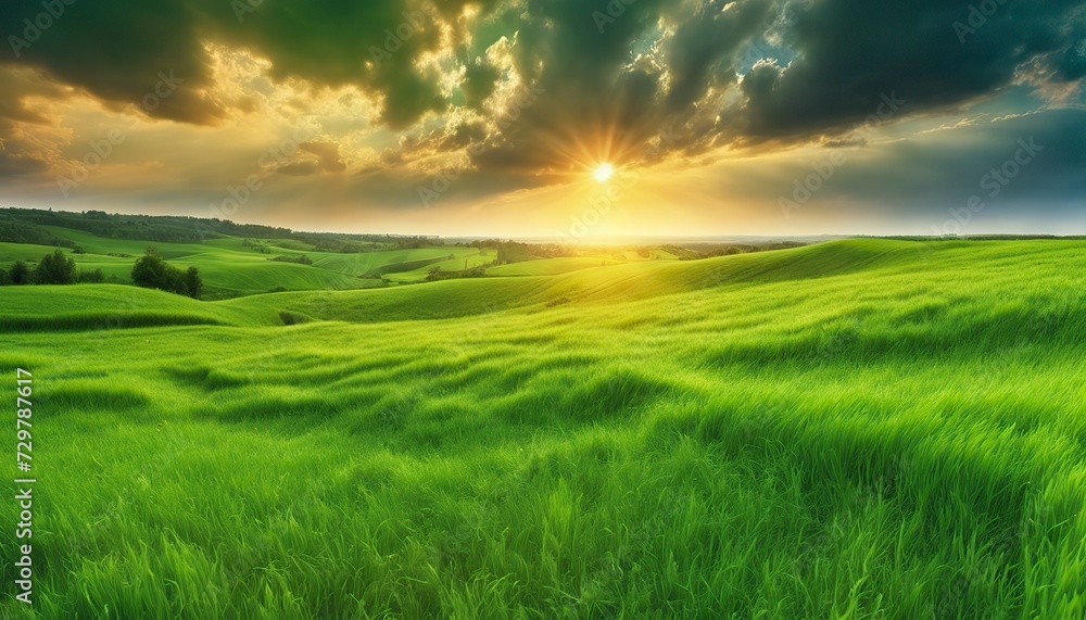 a sunset over a green field  with the sun shining through the clouds and the sun shining through the leaves,  wind moving green grass, panoramic view, summer scenery