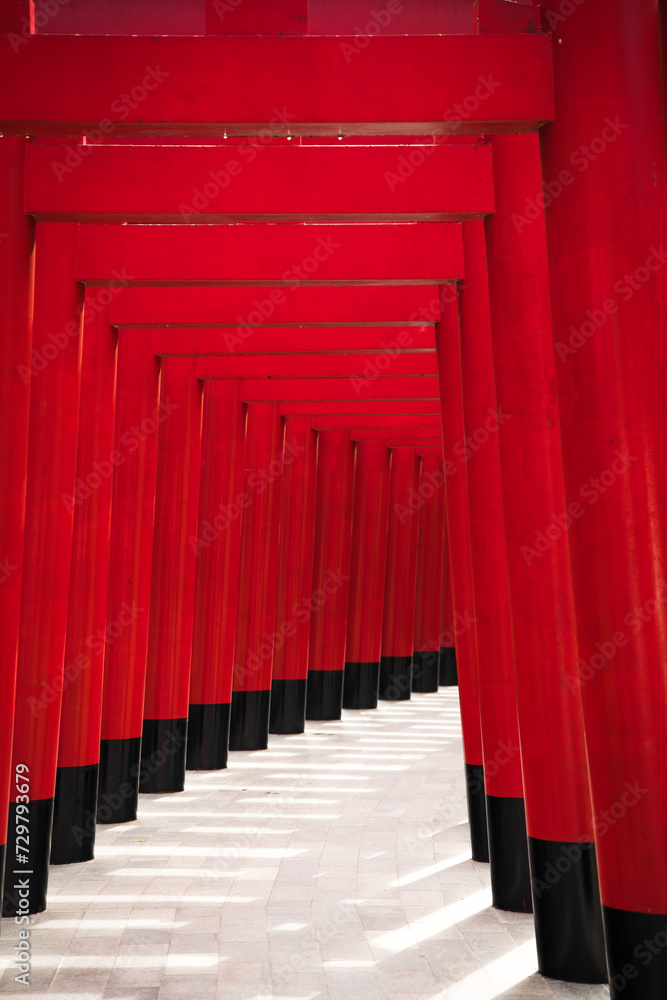 Fototapeta premium Japanese theme park Hinoki Land in Chai Prakan District, Chiang Mai, Thailand