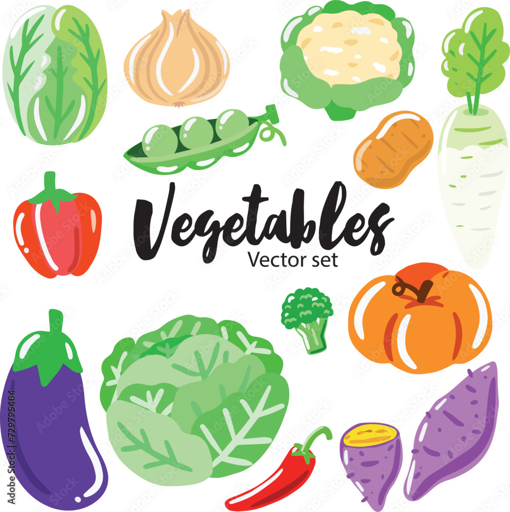Vegetables hand draw vector set Vegetables hand draw vector set