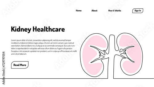 Human kidneys one line drawing. Continuous single hand drawn organs. Vector illustration minimalist healthcare anatomy landing page template.