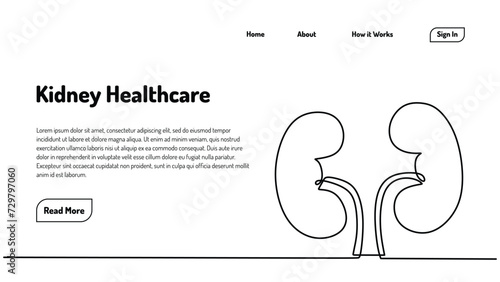 Human kidneys one line drawing. Continuous single hand drawn organs. Vector illustration minimalist healthcare anatomy landing page template.