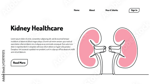 Human kidneys one line drawing. Continuous single hand drawn organs. Vector illustration minimalist healthcare anatomy landing page template.