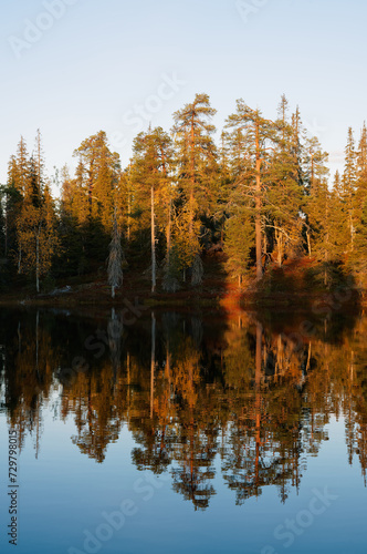 Old-growth boreal forest reflected on a calm surface of a pond on a autumn evening in Riisitunturi National Park, Northern Finland © Esa