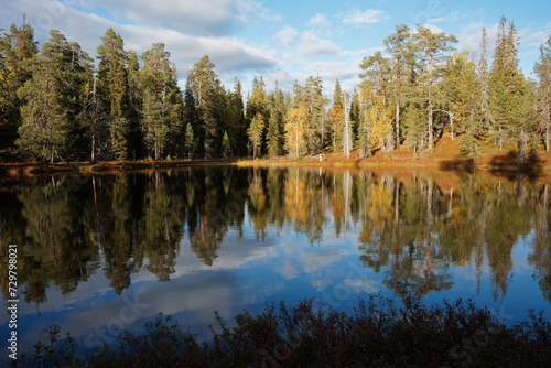 Old-growth boreal forest reflected on a calm surface of a pond on a autumn afternoon in Riisitunturi National Park, Northern Finland
