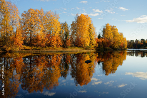 Riverside forest in vivid autumn colors. Beautiful reflections on the water surface