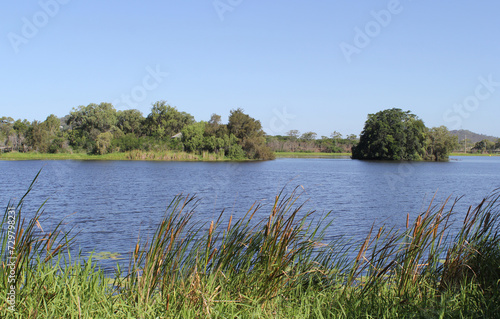 View of Lake Callemondah with water, an island and reeds in the foreground at Gladstone, Queensland, Australia