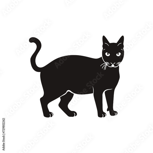 Siamese cat vector silhouette