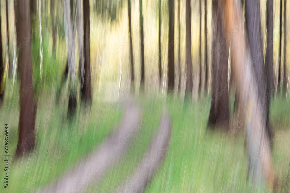 Fototapeta premium dream forest Unsharp pictures in the forest
