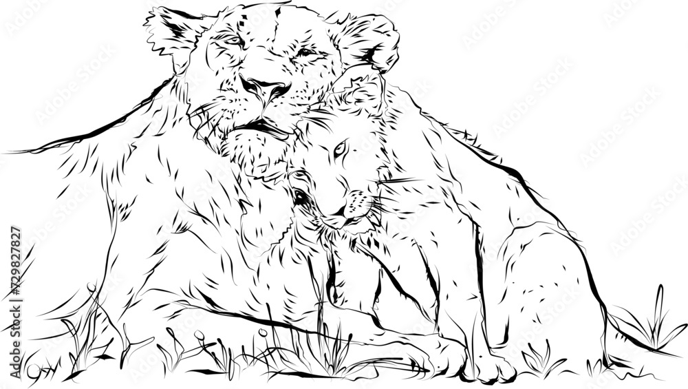 lion with a cub