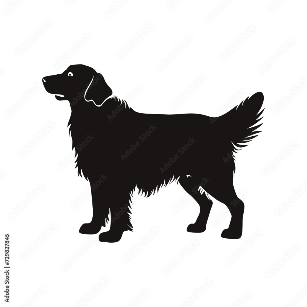 Golden Retriever vector silhouette Golden Retriever vector silhouette