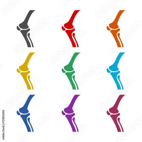 Knee bone  icon isolated on white background. Set icons colorful