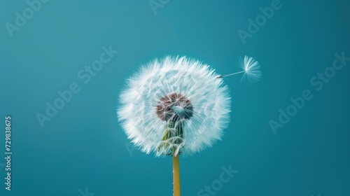  a dandelion blowing in the wind with a blue sky in the background and a single dandelion in the foreground with a single dandelion in the foreground.