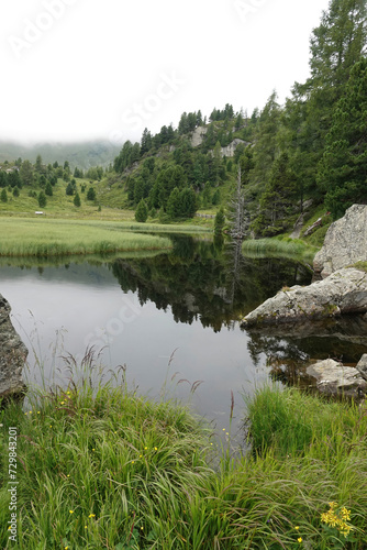 Wide angle Austrian calm scenic alps landscape of a conifer pine tree, rocks at a small lake photo