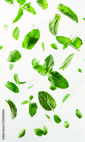 mint leaves float in the air in white background.