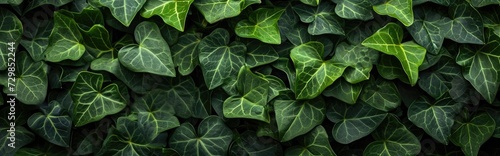 Ivy green plant texture background Generative AI