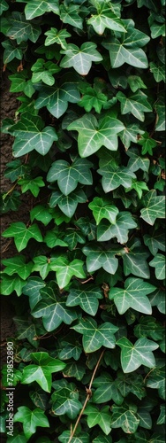 Ivy green plant texture background Generative AI © Dvid