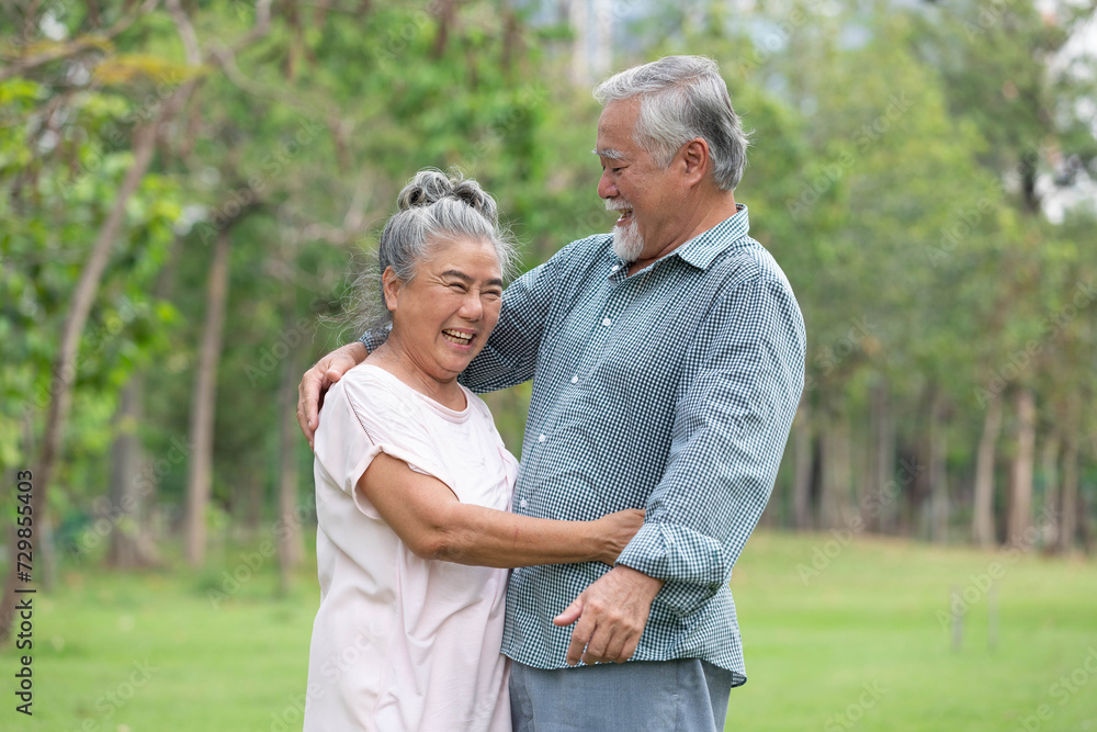 senior couple in love, embracing and hugging each other in the park senior couple in love, embracing and hugging each other in the park