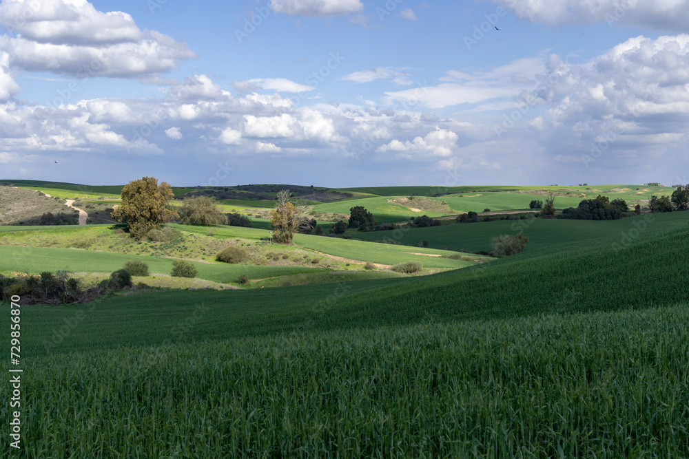 A Tuscan landscape in the north of Israel's Negev, in its advantages