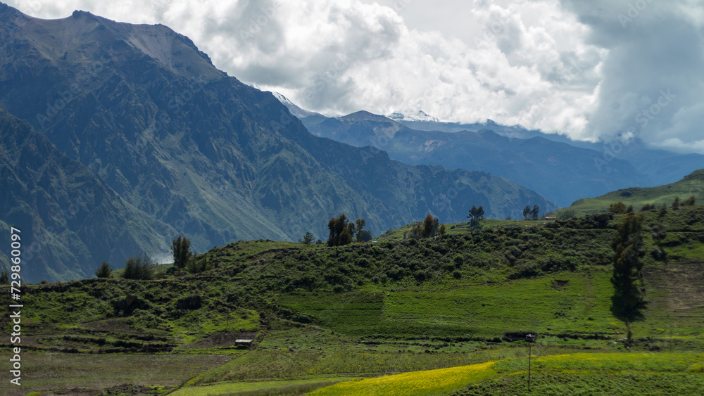 Spectacular and amazing colorful panorama of the Andes Mountains. Farmland near the Colca Canyon, Peru. Cloudy sky. Snow on the peaks, white clouds blue sky, green grass.