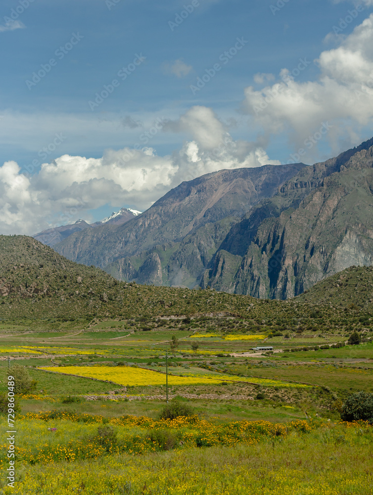 Spectacular and amazing colorful panorama of the Andes Mountains. Farmland with rapeseed fields near the Colca Canyon, Peru. Cloudy sky. White clouds blue sky, green grass. Mountain range.