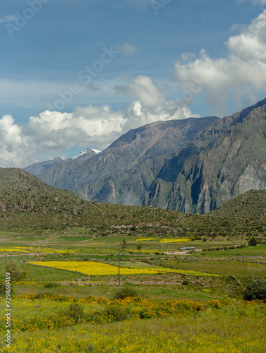 Spectacular and amazing colorful panorama of the Andes Mountains. Farmland with rapeseed fields near the Colca Canyon, Peru. Cloudy sky. White clouds blue sky, green grass. Mountain range.
