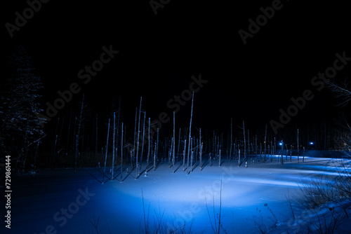 ライトアップされた青い池
Illuminated blue pond