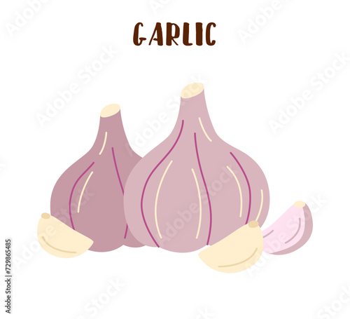 Set of garlic isolated on white. Garlic vegetable in flat style.