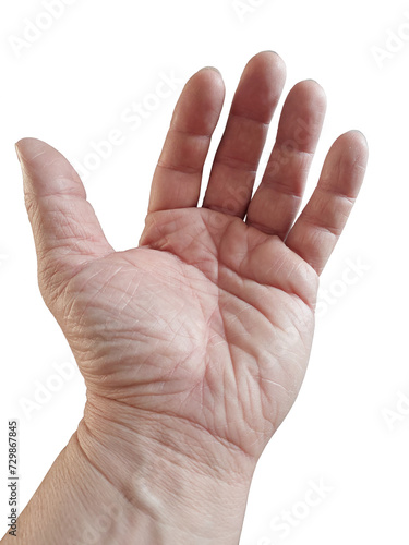 Ręka - dłoń