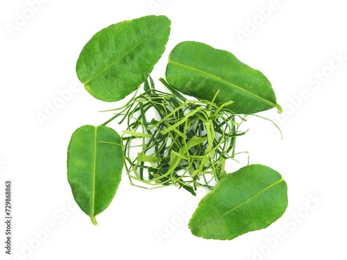 Fresh organic kaffir lime leaves, no chemicals, cut into pieces as a cooking ingredient. Green leaves, placed on a white background.