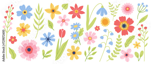 Set of flowers and floral elements. Vector flat illustration for greeting card or invitation design. photo