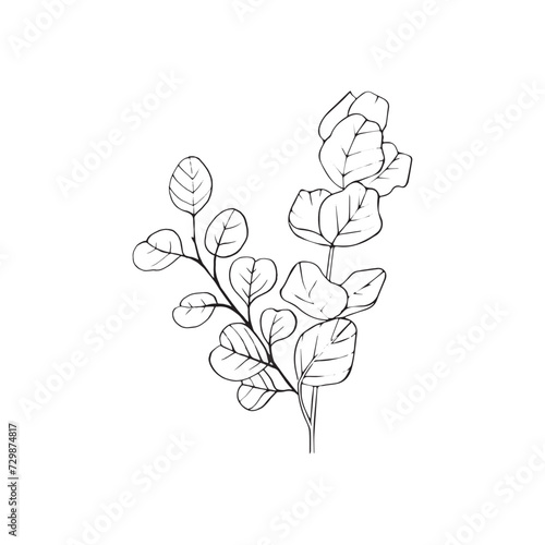 Eucalyptus transparent plant branch line black graphic