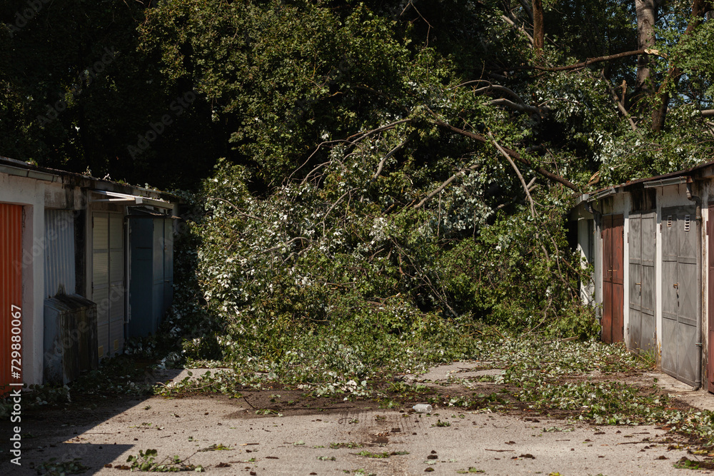 Fallen trees on rows of an old garages storage units, after big storm