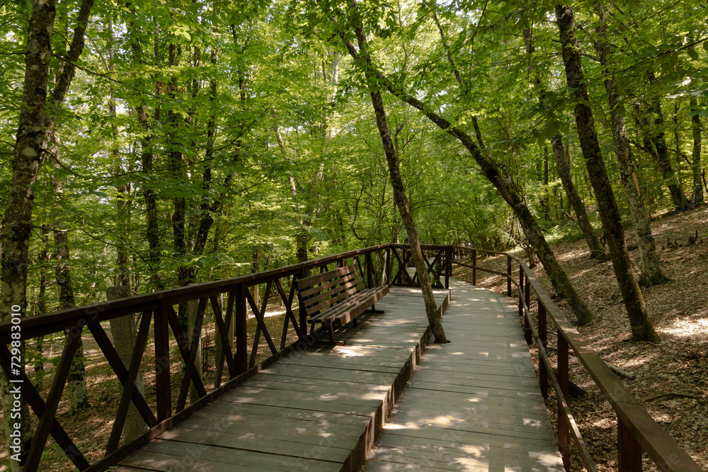 Obraz premium Wooden flooring with handrails for safety on an ecological trail in a summer mountain forest with sunbeams. Travel concept.