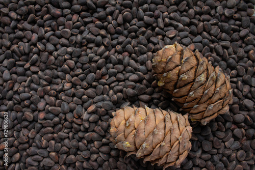 Unshelled pine nuts are scattered on the surface, nearby are cedar cones with frozen resin on them, cedar
