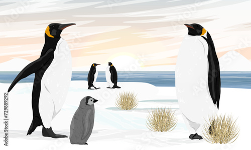 A flock of emperor penguins with chicks stands on the ocean shore with snow and dry grass. Birds of the South Poles. Realistic vector landscape