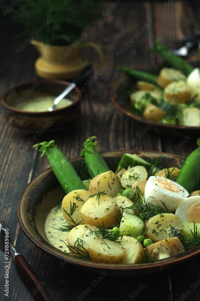 A bowl with farming summer salad in rustic style A bowl with farming summer salad in rustic style