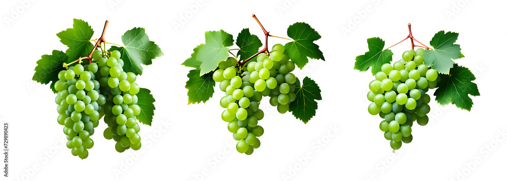 set of green grapes isolated on white transparent background,Generative ai set of green grapes isolated on white transparent background,Generative ai
