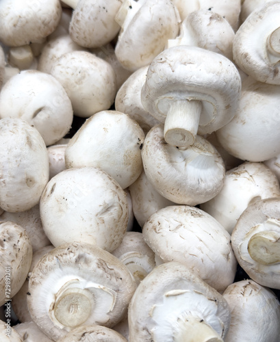 Champignon mushrooms on the counter in the market