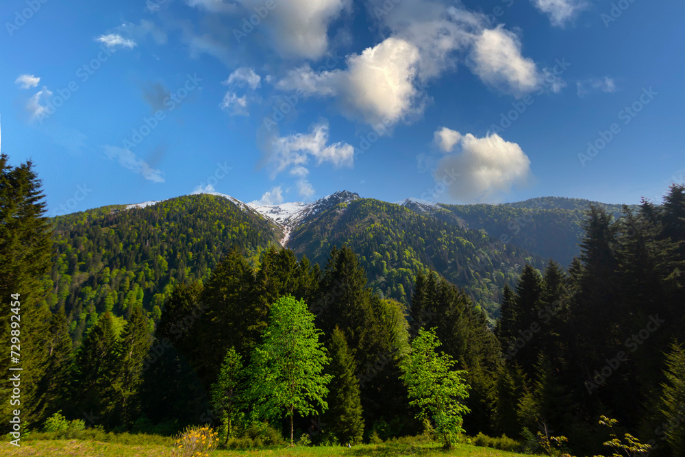 Ayder Plateau in Camlihemsin, Rize. Famous touristic a place. Ayder Plateau in the Black Sea and Turkey.