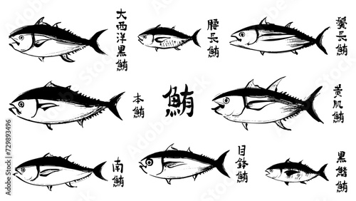 鮪の和風ベクターイラストセット（白黒）。