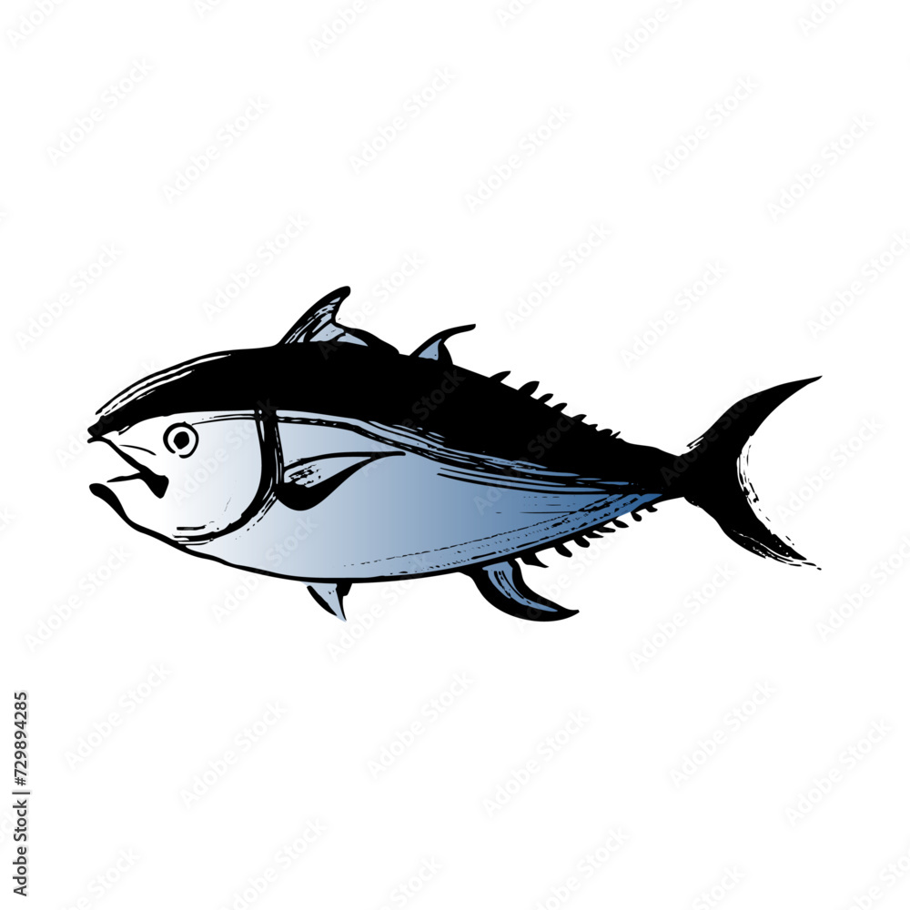 タイセイヨウクロマグロの和風ベクターイラスト(カラー)。 タイセイヨウクロマグロの和風ベクターイラスト(カラー)。