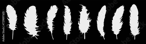 Set of realistic vector goose or swan feathers of various shapes. Ecological feather filler for pillows, blankets or jackets.Vector concept design,line art.