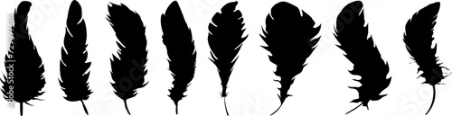 Set of realistic vector goose or swan feathers of various shapes. Ecological feather filler for pillows  blankets or jackets.Vector concept design line art.